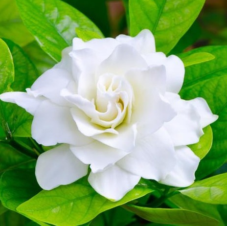 farhanaakterst's profile picture. i want to learn something new