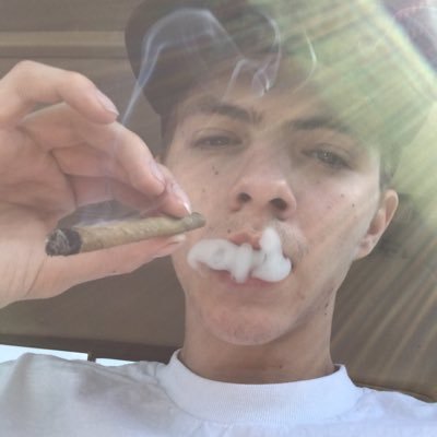 the_spacelion's profile picture. 🤪