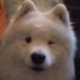 Hans Peter (@hanspet02262732) Twitter profile photo Hans Peter (@hanspet02262732) Twitter profile photo