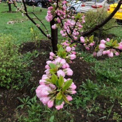 IAlexandrovna19's profile picture. 🎄🎄🎄