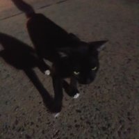 MW (@mw1307) 's Twitter Profile