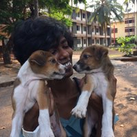 Abitha (@abitha___) 's Twitter Profile