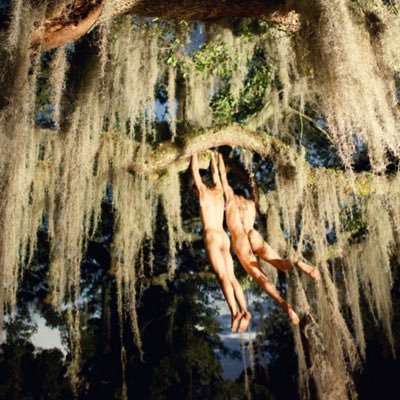 OscarMai3's profile picture. 💈