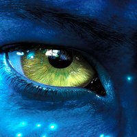 Eli (@joeely) 's Twitter Profile