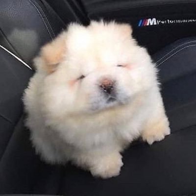 いちごさんのプロフィール画像