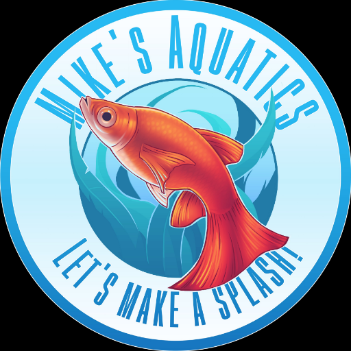 Aquarium hobbyist/Fish Keeper. I Farm aquatic plants, Breed snails, and guppies. Aquariums keep me sane. https://t.co/sewXA9V8l5