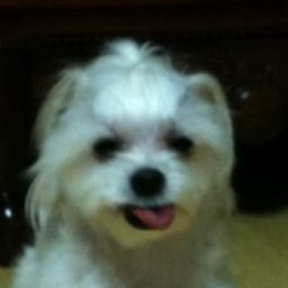 haramass's profile picture. 