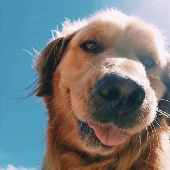 Mijuy6's profile picture. 