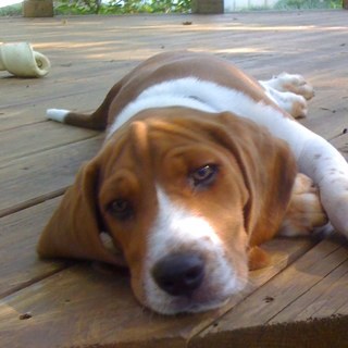 teppyteach's profile picture. 