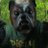 dirtydoghateyou's profile image