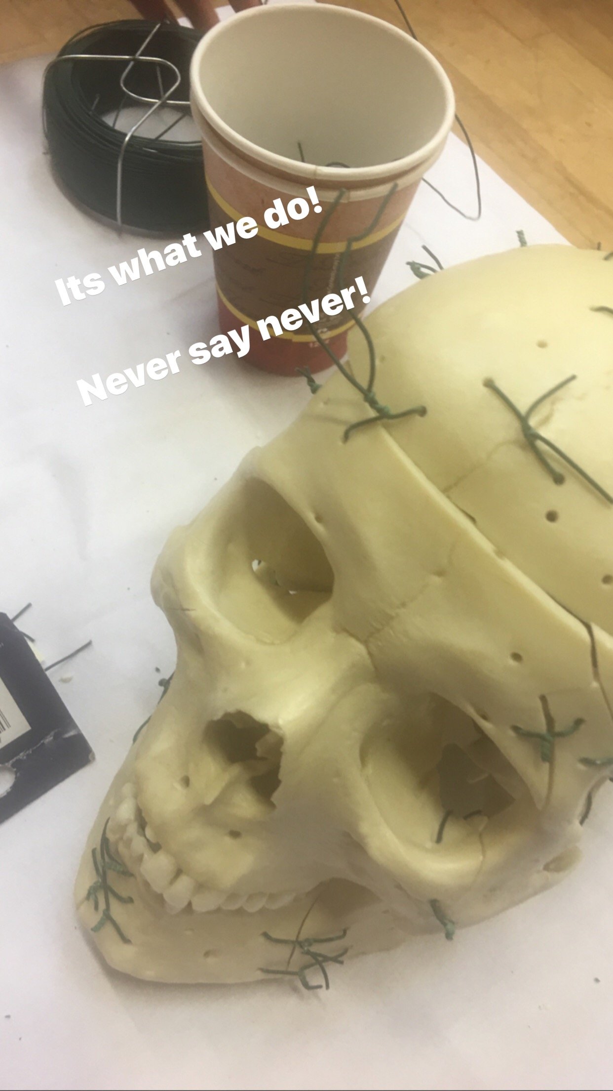 EmbalmerI's profile picture. Embalmer in cork. Passionate about caring for our dead.
Qualified through the BIE.
Member of the European Association of Embalmers (EAE)