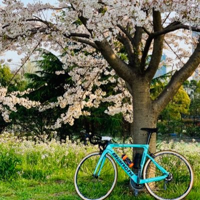 旅・食・建築・地理・ロードレース