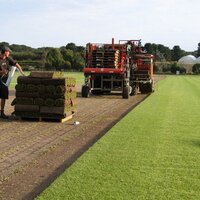 Anco Turf (@ancoturf) 's Twitter Profile