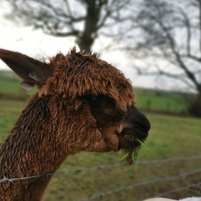 DansPosting's profile picture. Love living, live loving.