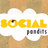 Social Pandits