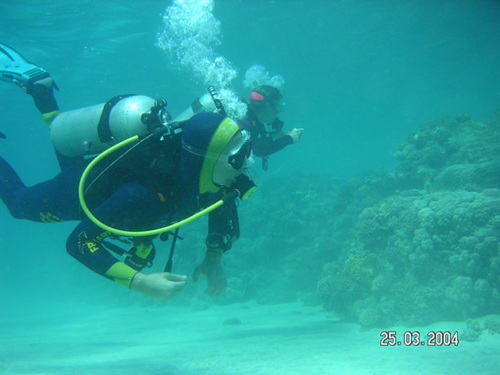 scubalibre2002's profile picture. 