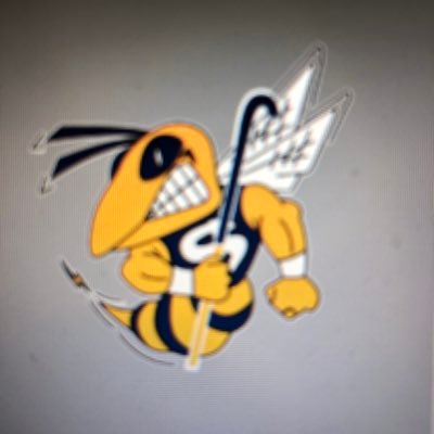 Saline Field Hockey Profile