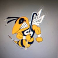 Saline Field Hockey(@SalineFHockey) 's Twitter Profile Photo