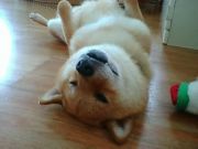 maricai6's profile picture. 