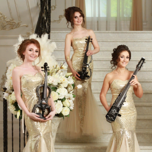 ViolinGroupDOLL's profile picture. Violin group Dolls представляет два  проекта: *Скрипичное Шоу и **Акустика. В репертуаре произведения Земфиры, Muse,Elton John,Jamiroquai и ещё много музыки.