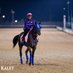 Alexis Delgado Romero (@adrstables) Twitter profile photo Alexis Delgado Romero (@adrstables) Twitter profile photo
