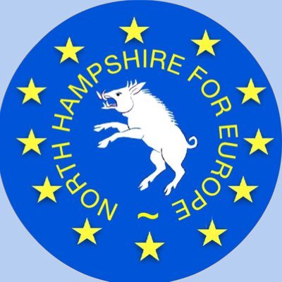 North Hampshire pro European group. We represent the constituencies of NE Hants, NW Hants and Basingstoke. Contact us via northhampshireforeurope@gmail.com