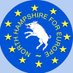 North Hampshire For Europe 🇪🇺 #FBPE (@North_Hants4eu) Twitter profile photo