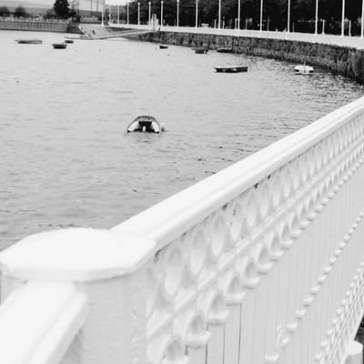 antuanoni's profile picture. 