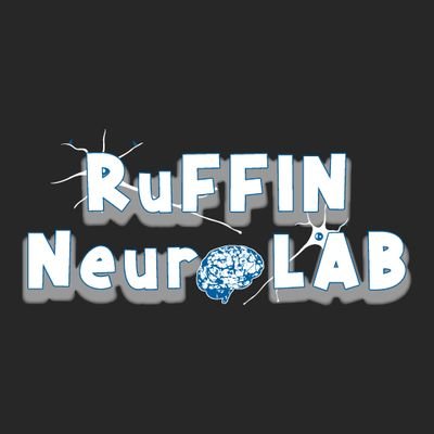 RuffinNeuroLab Profile Picture