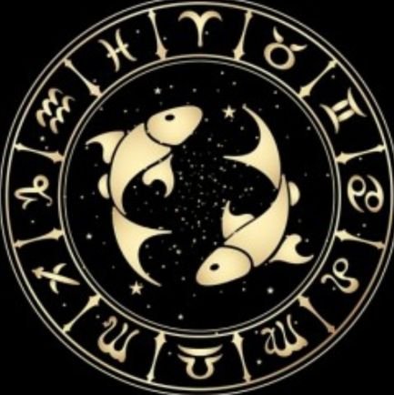 sasda14k2's profile picture. 