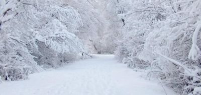 Faaaaw2's profile picture. 