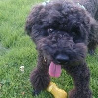 もんじろう (@dzrlupq876rhf4t) Twitter profile photo