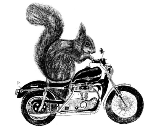 I am a dare devil full stop. I like to be (and am always) number 1... I'm part of the Brat & Suzie gang...oh an I have a penchant for Nutella :)