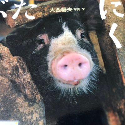 Riho アニマルライツ 金魚すくいをした挙句 その金魚をトイレに流し それをわざわざツイートし 炎上している りにゃボコ どうにかなりません りにゃボコ 動物虐待 金魚 犬 恐らく本人の別アカ Riho アニマルライツ 金魚すくいをした挙句 その金魚をトイレに流し それをわざわざツイートし 炎上している りにゃボコ どうにかなりません りにゃボコ 動物虐待 金魚 犬 恐らく本人の別アカ