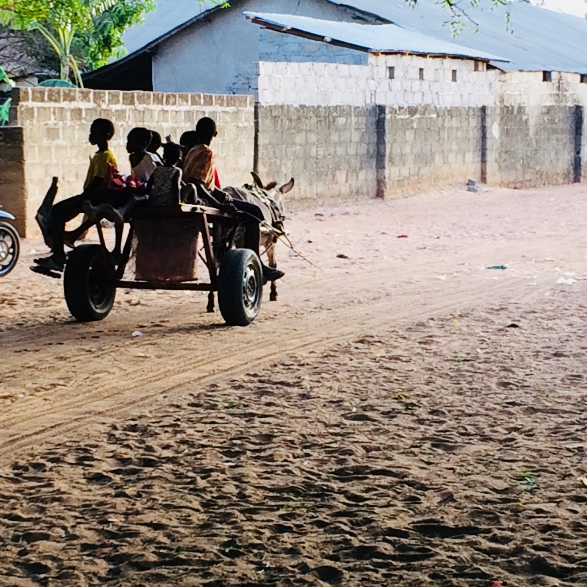 Greetings from The Gambia in West Africa  am a boy  liven in Manduwar near the city call brikama and a am looking for good and kind friendship 🙏🙏