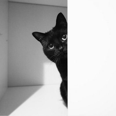 encre00's profile picture. 