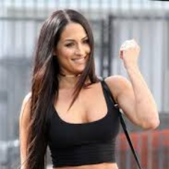 You can look, but you can't touch. Nikki Bella may look like a beautiful woman, but in the ring she is fearless and will do what it takes to win /not real nikki