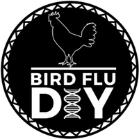 Birdy (@little_birdyflu) 's Twitter Profile