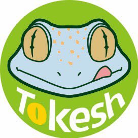 tokesh_gecko's profile picture. Tokeshです。亡き妻@hosonagaiyatsuが作ったヤモリ屋さんです。現在は@wasabi_bicycleと@nyoro_musumeが運営しています。 24東京都販第008398号