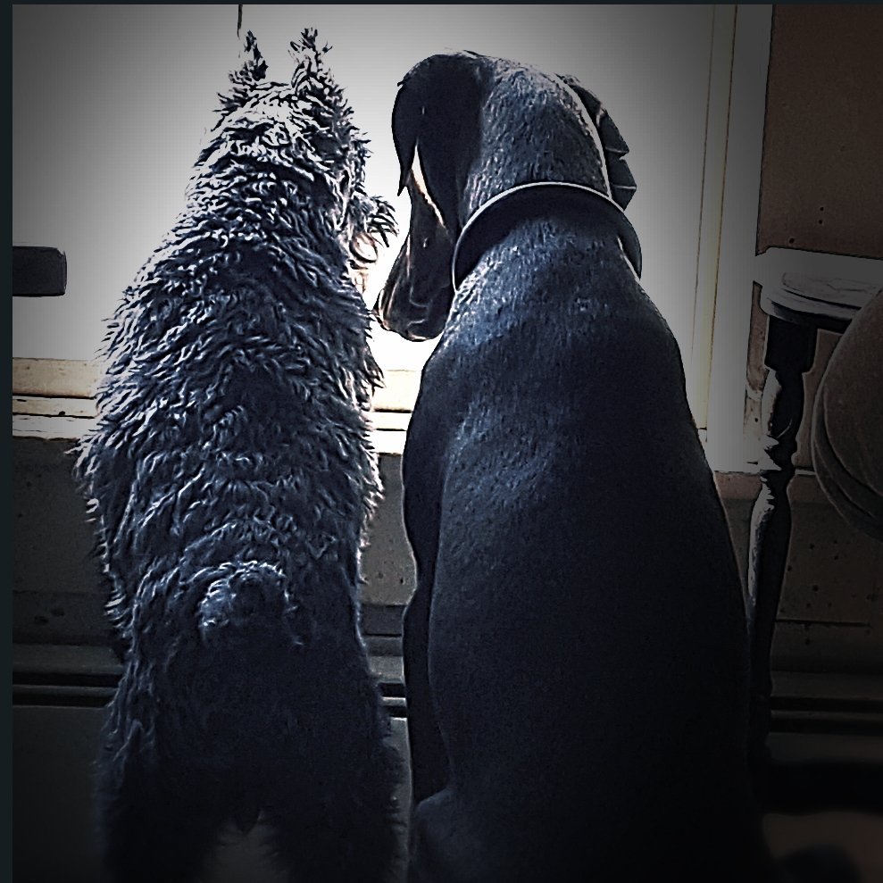 bryanne_ineson's profile picture. Just another pilgrim trudging along the human highway. Amen