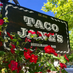 Taco Janes (@tacojanes) Twitter profile photo Taco Janes (@tacojanes) Twitter profile photo