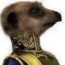 David Stringer - @DavidWStringer - Twitter