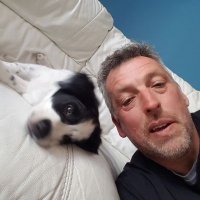 stuart gower (@stuartgower1) 's Twitter Profile