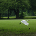 Royal Calcutta Golf Club (@calcuttagolf) Twitter profile photo Royal Calcutta Golf Club (@calcuttagolf) Twitter profile photo