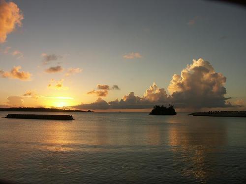 tsubaki513's profile picture. 健康回復実践中！