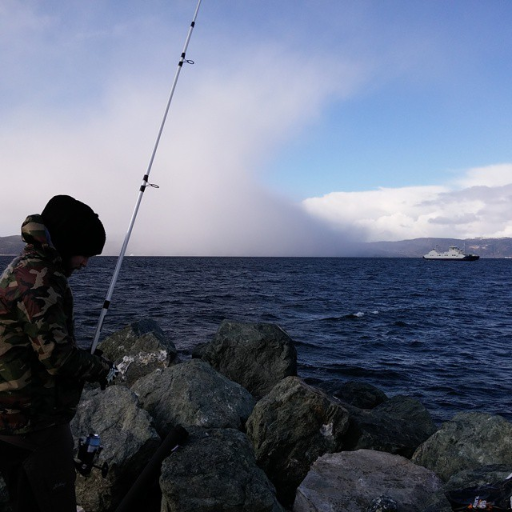 randomMmmmmmmm8's profile picture. 