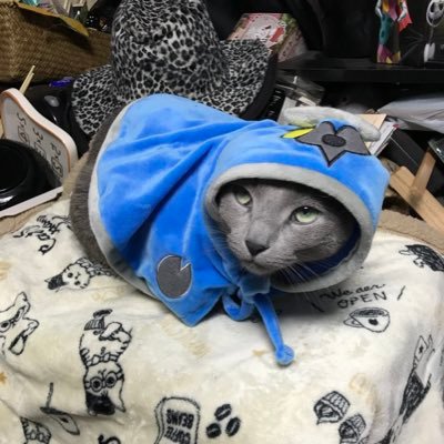 アリス ひげケースと毛玉ケースとか3coinsわかってるなぁ 欲しかったんだよなぁ ひげケースは枕にされてるけど 笑 アリス ひげケースと毛玉ケースとか3coinsわかってるなぁ 欲しかったんだよなぁ ひげケースは枕にされてるけど 笑