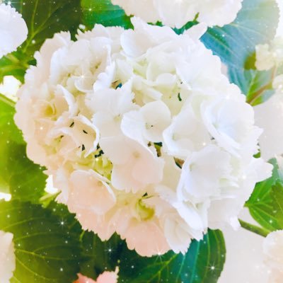 MAMIさんのプロフィール画像