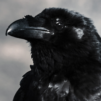 Pallas Raven(@PallasRaven) 's Twitter Profile Photo