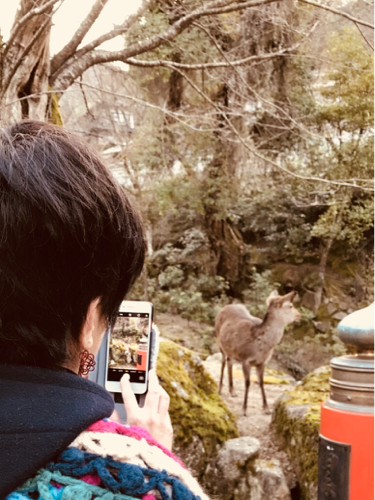 梅酒、らっきょう酢、薬膳酒、ぬか漬け、ピクルス…漬けるの大好き、色々漬けたい！！ 急に、浮世絵や仏像にはまってます！